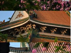 -顺峰山公园