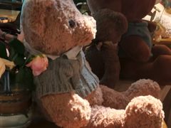 -咖法森林·咖啡  酒吧(天河店)