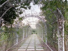 -花博汇(知音花月夜)
