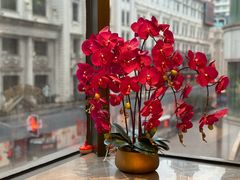 -新雅粤菜馆(南京东路店)