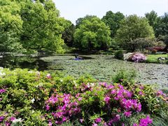 -杭州植物园