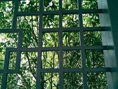 -金鸡山公园