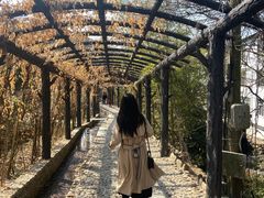 -梁野山景区