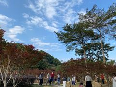-广州市帽峰山景区