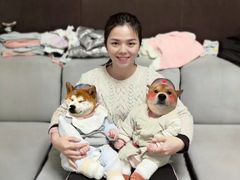 -优护优家Ucare月嫂育儿嫂陪伴师(静安店)