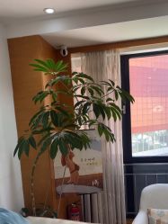 -HEYAN荷妍专业脱毛连锁机构