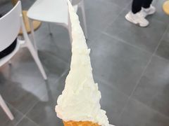 -野人先生Gelato(上海长宁龙之梦店)