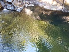 -九龙江国家森林公园