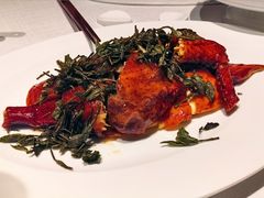 -食廬(浦东嘉里城店)