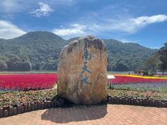 -广州市石门国家森林公园