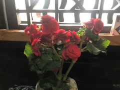 -老宅子私房菜馆(大理古城店)
