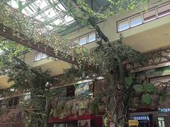 -呀诺达热带雨林