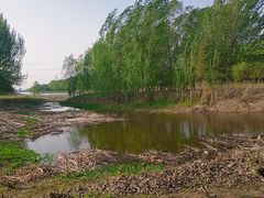 -蒲河岛湿地公园