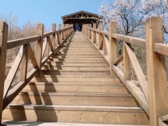 -大岭沟猕猴桃谷风景区