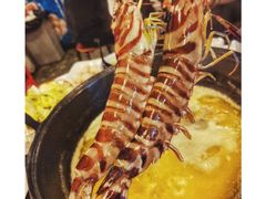 -鲜入围煮花胶鸡海鲜火锅