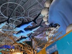 -烟台海昌鲸鲨海洋公园