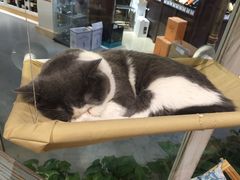 -小时光咖啡馆(开森度假森林店)