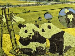 -稻梦空间冰雪小镇