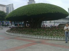 -南宁南湖公园