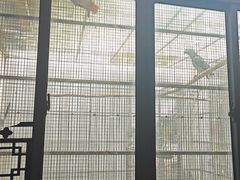 -观桥阁(锦溪店)