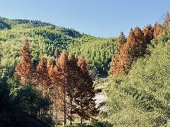 -黄公望隐居地