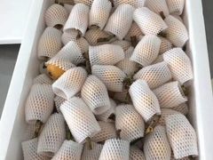 -塘栖枇杷特色园区