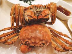 -王宝和酒家(黄浦店)