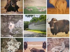 -中国湿地博物馆