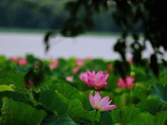 -颐和园