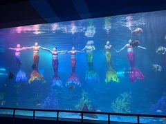 -泉城欧乐堡海洋极地世界