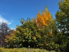 -红山国家森林公园