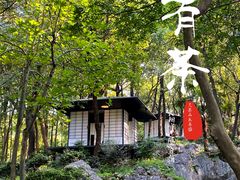 -中国茶叶博物馆(双峰馆区)