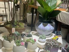 -弗劳尔花艺坊(龙涛店)