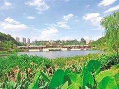 -重庆彩云湖湿地公园