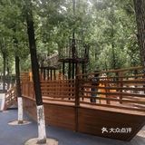 室外公园  孩子们在家呆的时间太长，快出来拥抱大自
