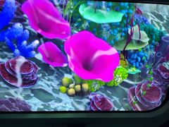 -珠海横琴国家地理探险家中心(创新方)