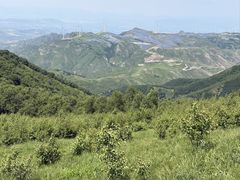-灵山