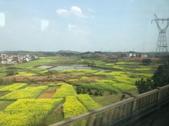 -大碗先生(攸县望云店)