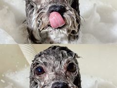 -宠Ta宠物生活馆(济宁任城区)