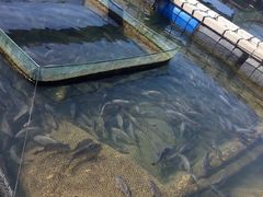 -海上驿站渔家菜馆