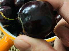 -江杨农产品批发市场