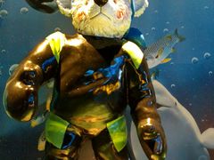 -成都泰迪熊博物馆