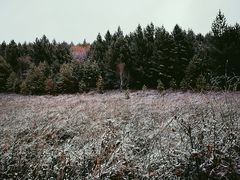 -塞罕坝国家级自然保护区