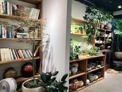-自由生长植物工作室(深港花卉中心店)