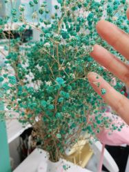 -斐尔国际皮肤管理中心