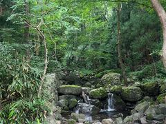 -天目山大树王景区