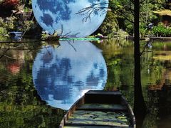-深圳仙湖植物园