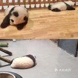 我有独特的观赏迷惑行为技巧!