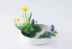 -今日陶艺(富力广场店)