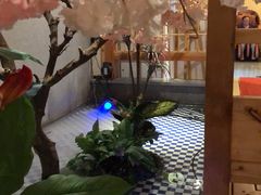 -纽斯洗浴SPA(三墩店)